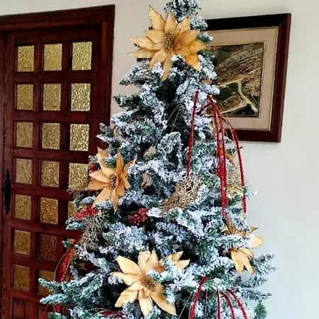 Mirador De San Marcos