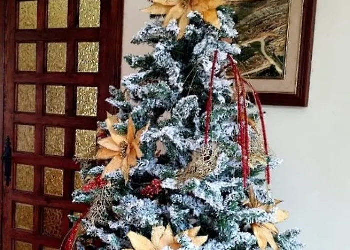 Mirador De San Marcos